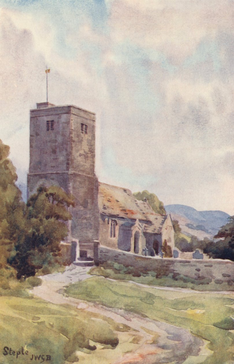 斯特普尔（彩色印刷） 作者 