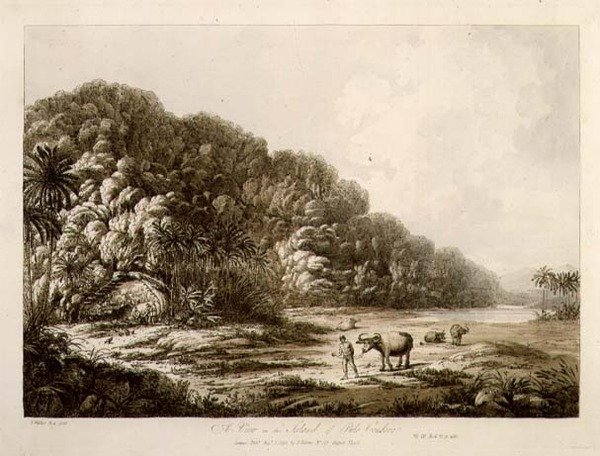 Pulo Condore岛的风景，出自《南海风景》，出版。1792年（蚀刻画） 作者 约翰·韦伯