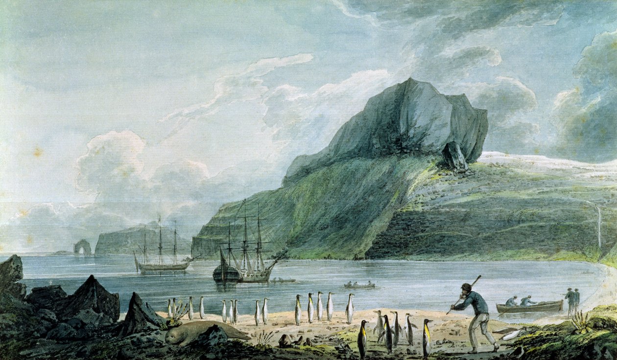 在Kerguelen的土地，1781-4圣诞港口的视图 作者 约翰·韦伯