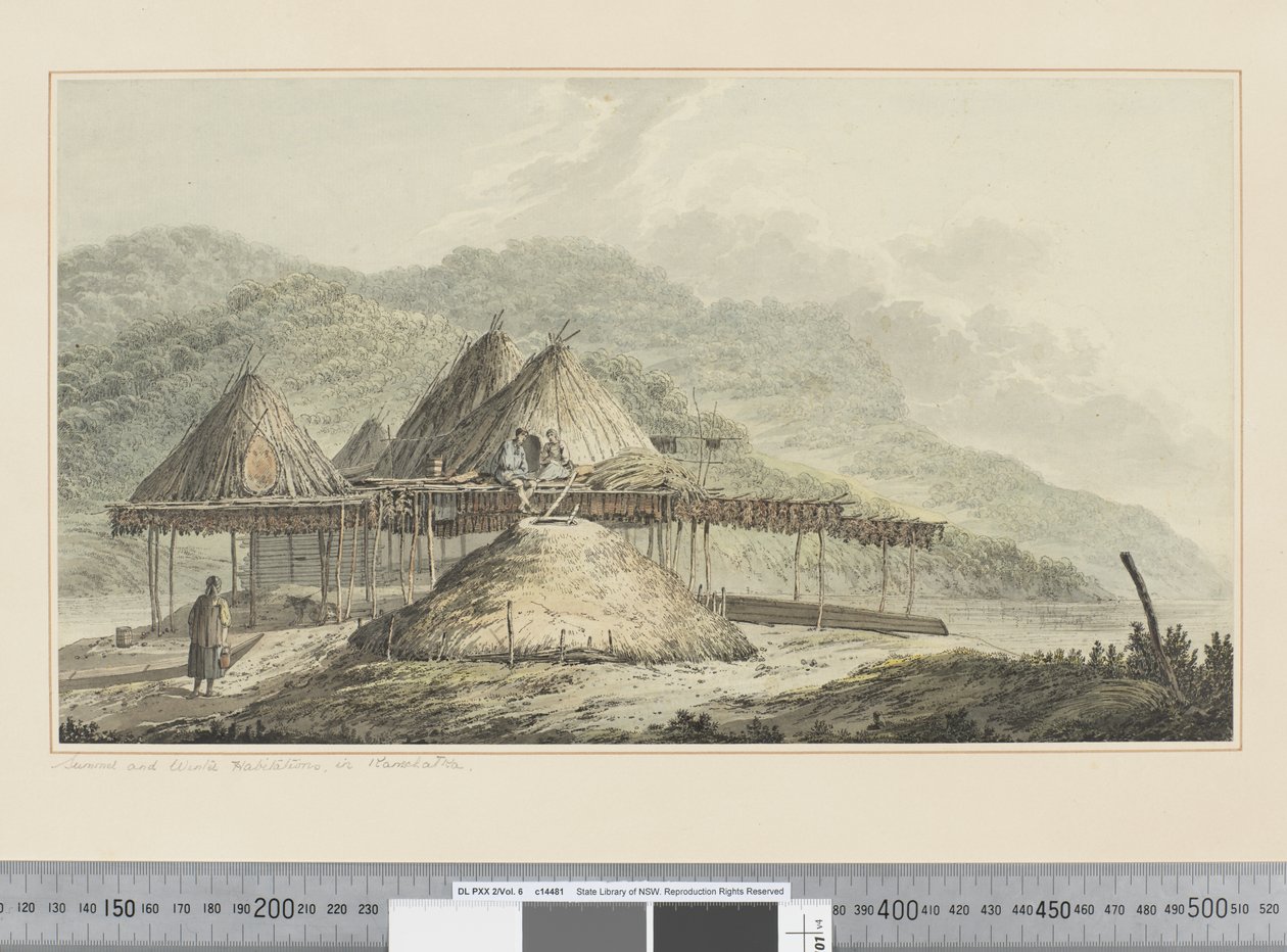 F.42 堪察加的夏季和冬季栖息地，c.1783-84（水彩） 作者 约翰·韦伯