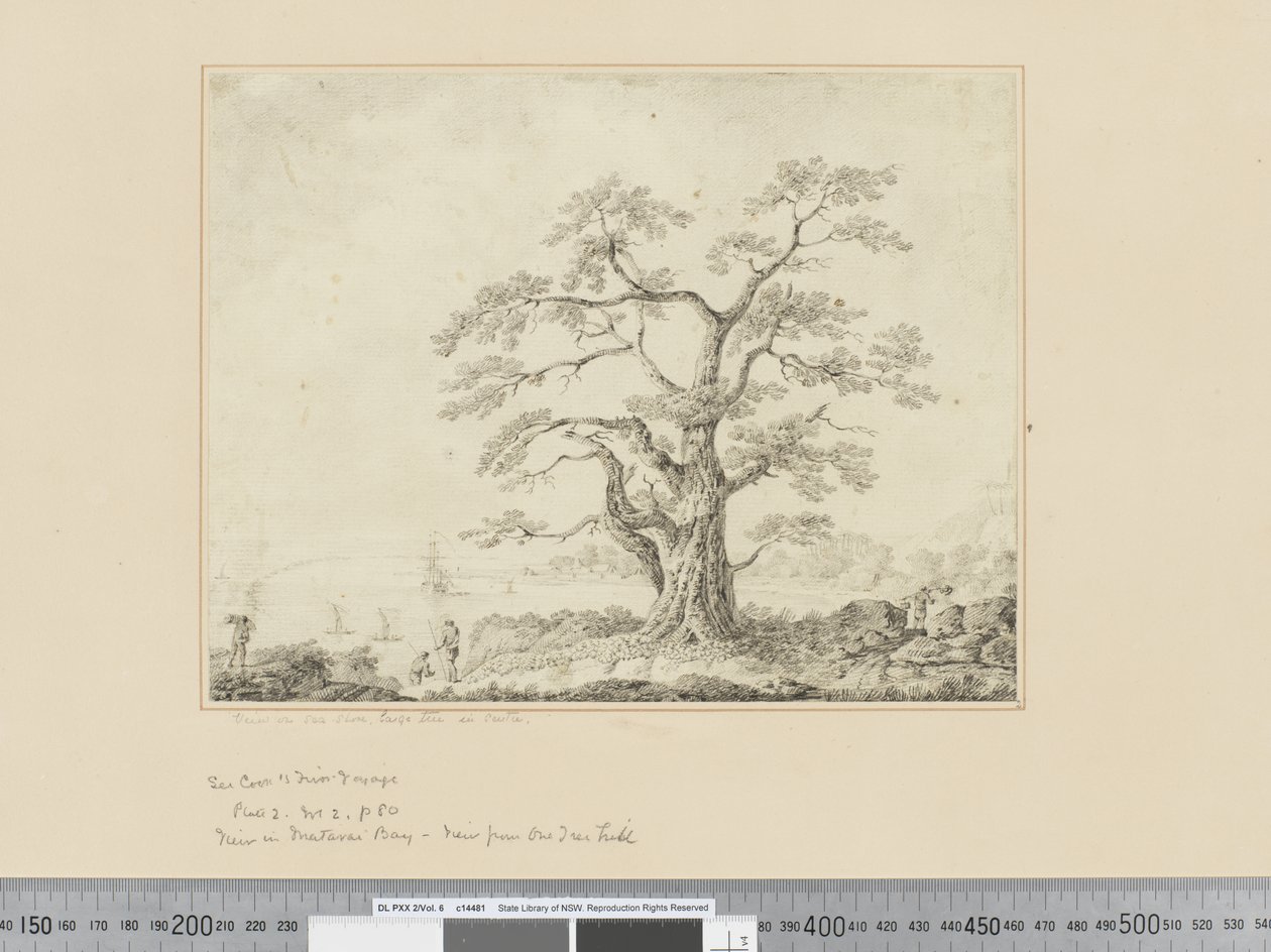F.44 View on Sea Shore, large tree in centre, c.1783-84 作者 约翰·韦伯