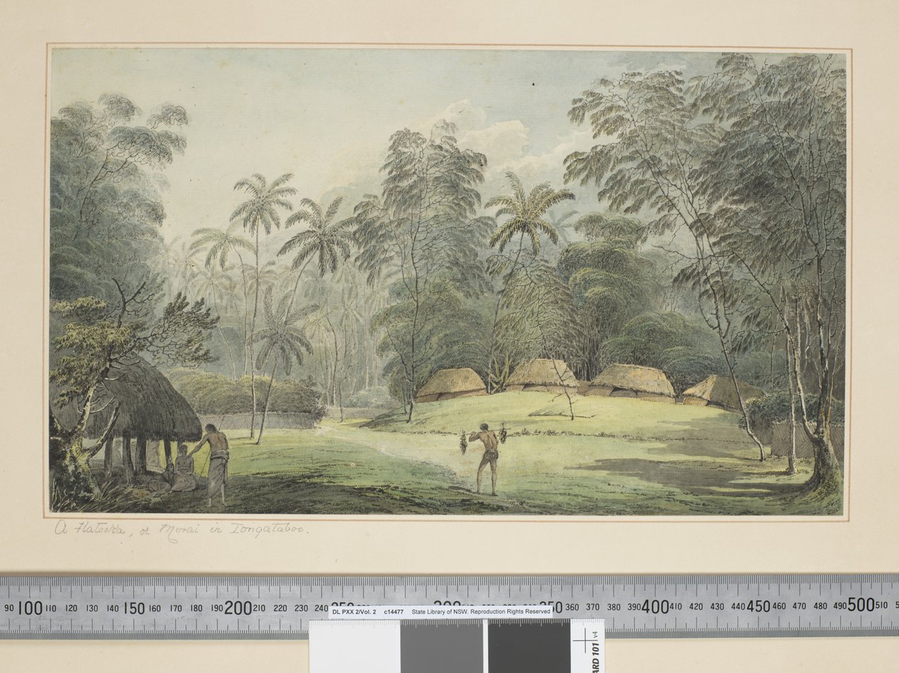 F.8 汤加塔布的菲亚图卡或莫莱，约 1773-84 年（水彩） 作者 约翰·韦伯