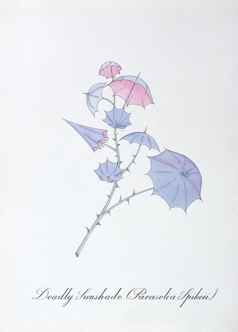 致命遮阳伞 (Parasolia Spikeii.)，插图来自约翰·威尔的《植物学伪书》 作者 约翰·威尔