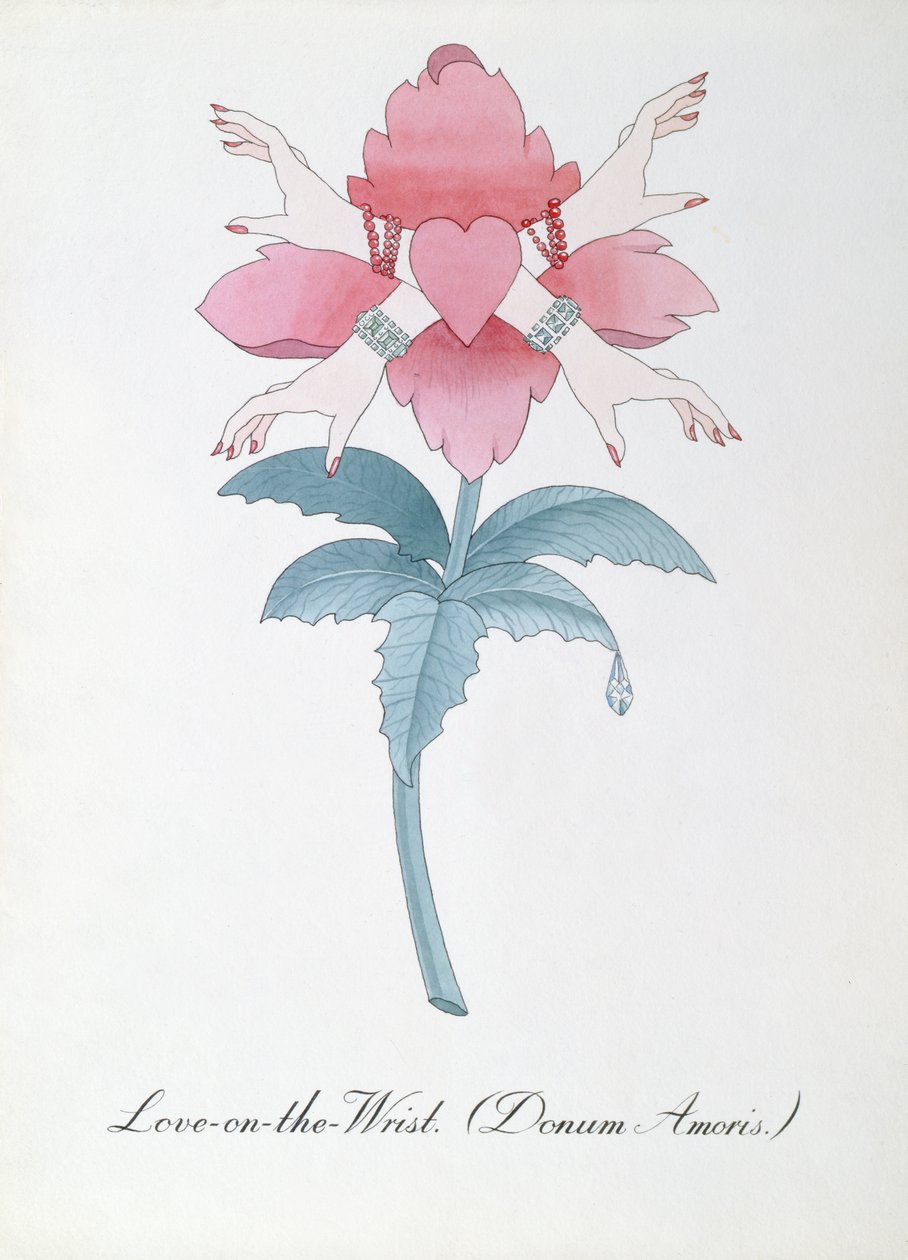 手腕上的爱 (Donum Amoris.) 插图，摘自约翰·威尔 (John Weir) 的《植物学伪书》 作者 约翰·威尔