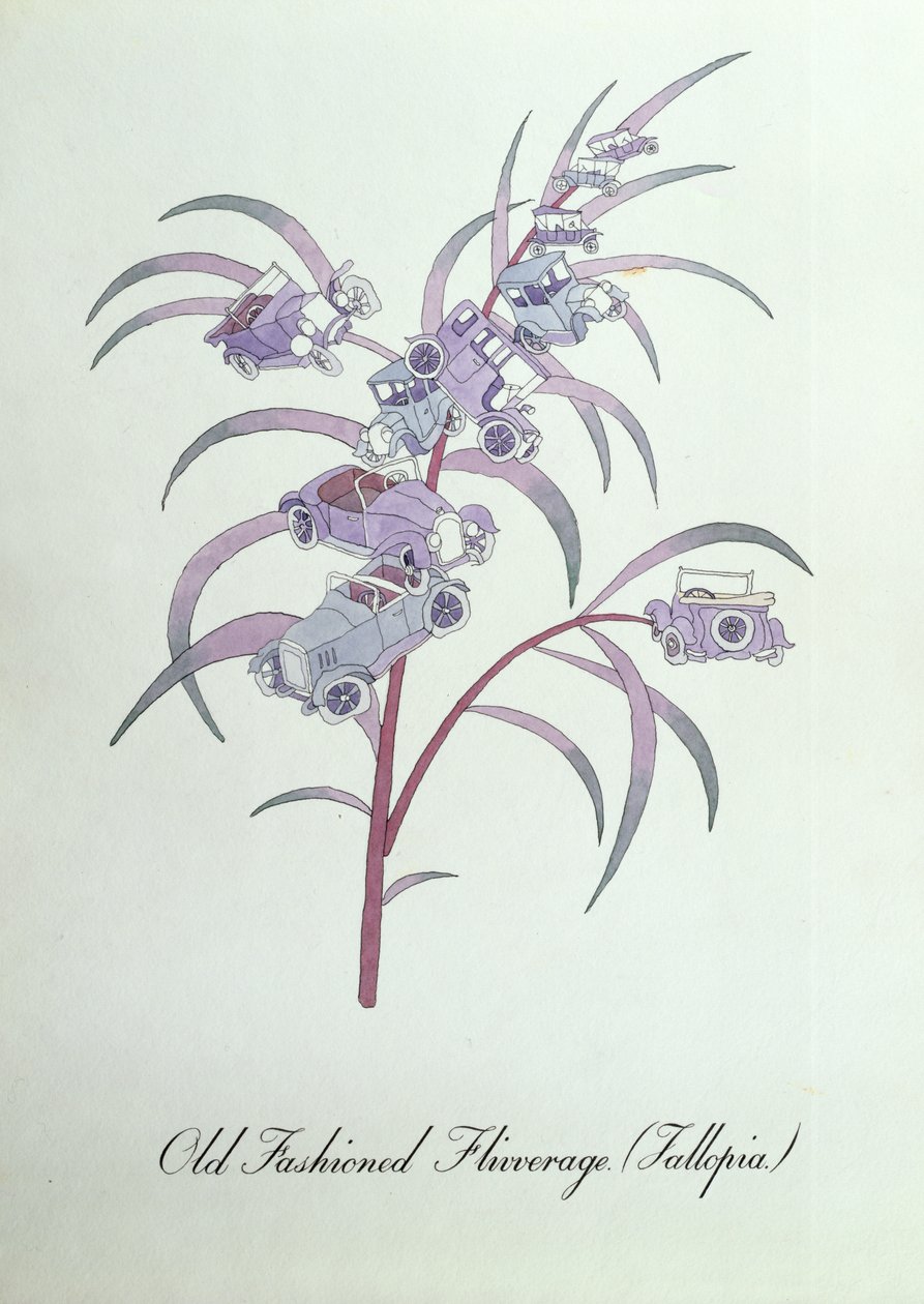 老式 Flivverage（Fallopia。），插图来自约翰·威尔的《植物学伪书》 作者 约翰·威尔