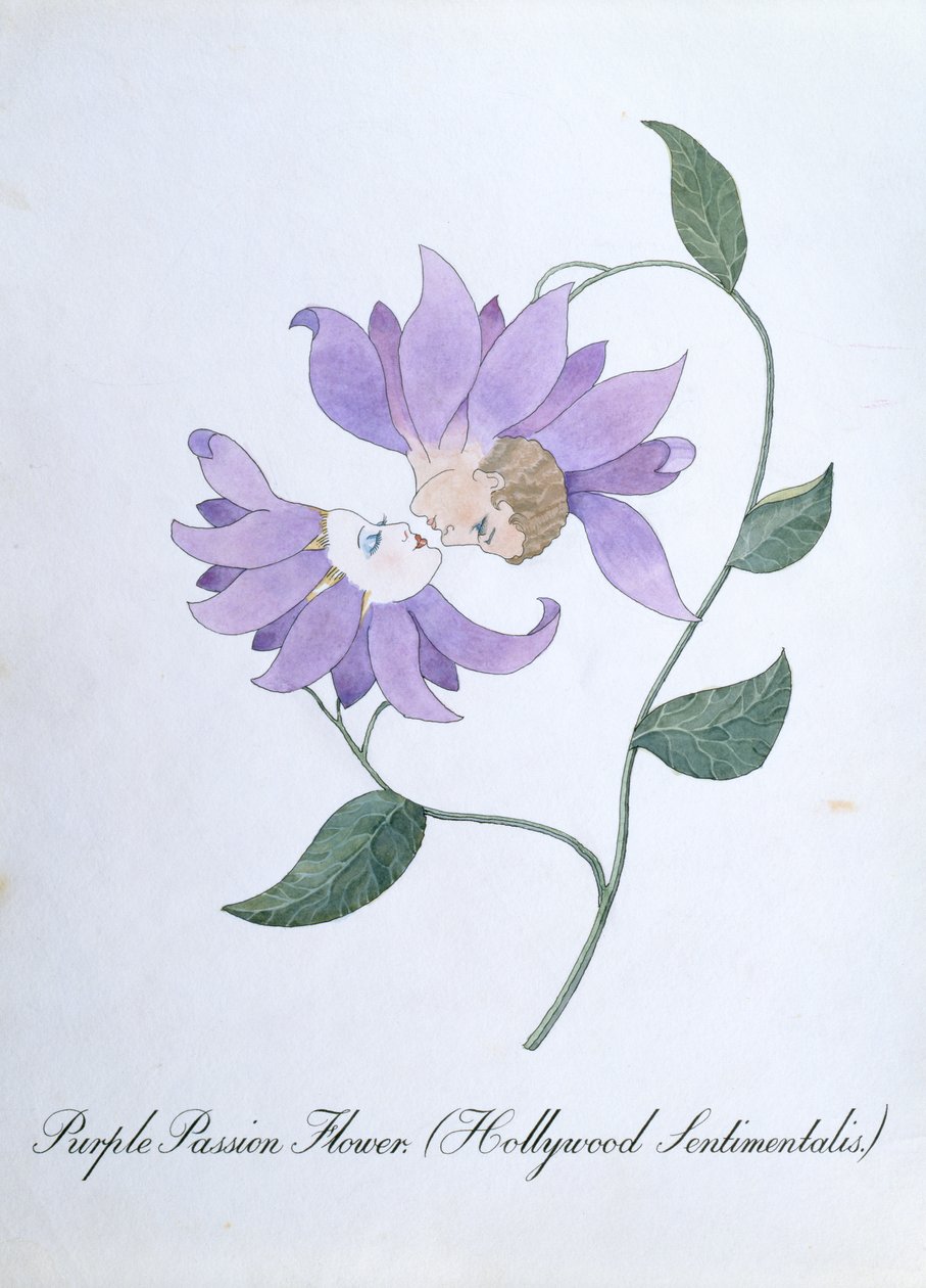 紫色西番莲（Hollywood Sentimentalis），插图选自约翰-威尔（John Weir）的《植物学怪谈》（The Bogus Book of Botany）。 作者 约翰·威尔