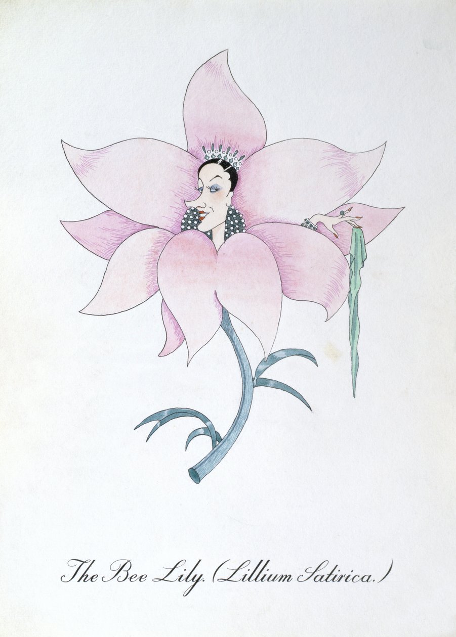蜜蜂百合（Lillium Satirica.），插图选自约翰-威尔（John Weir）的《植物学怪谈》（The Bogus Book of Botany）。 作者 约翰·威尔