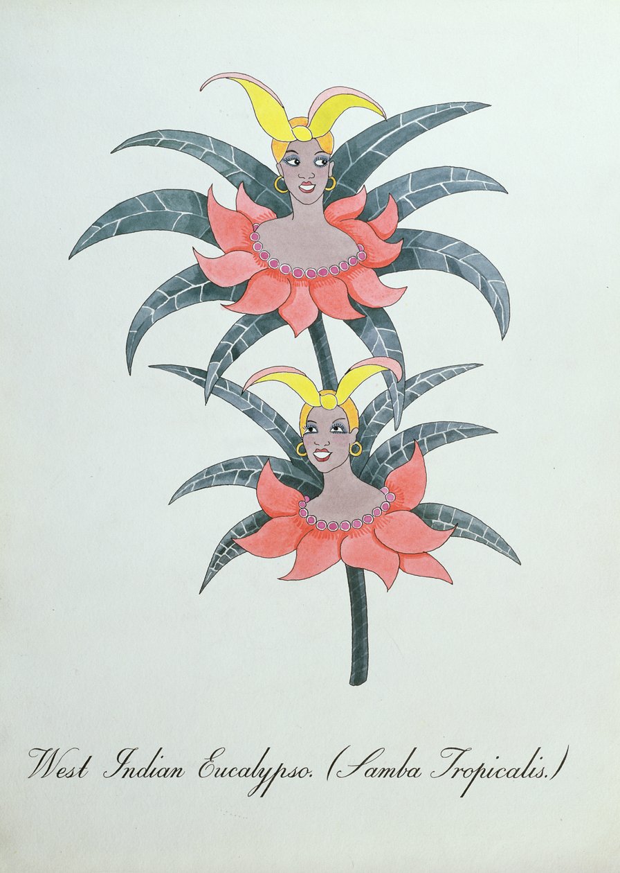 West Indian Eucalypso (Samba Tropicalis.), illustration from 