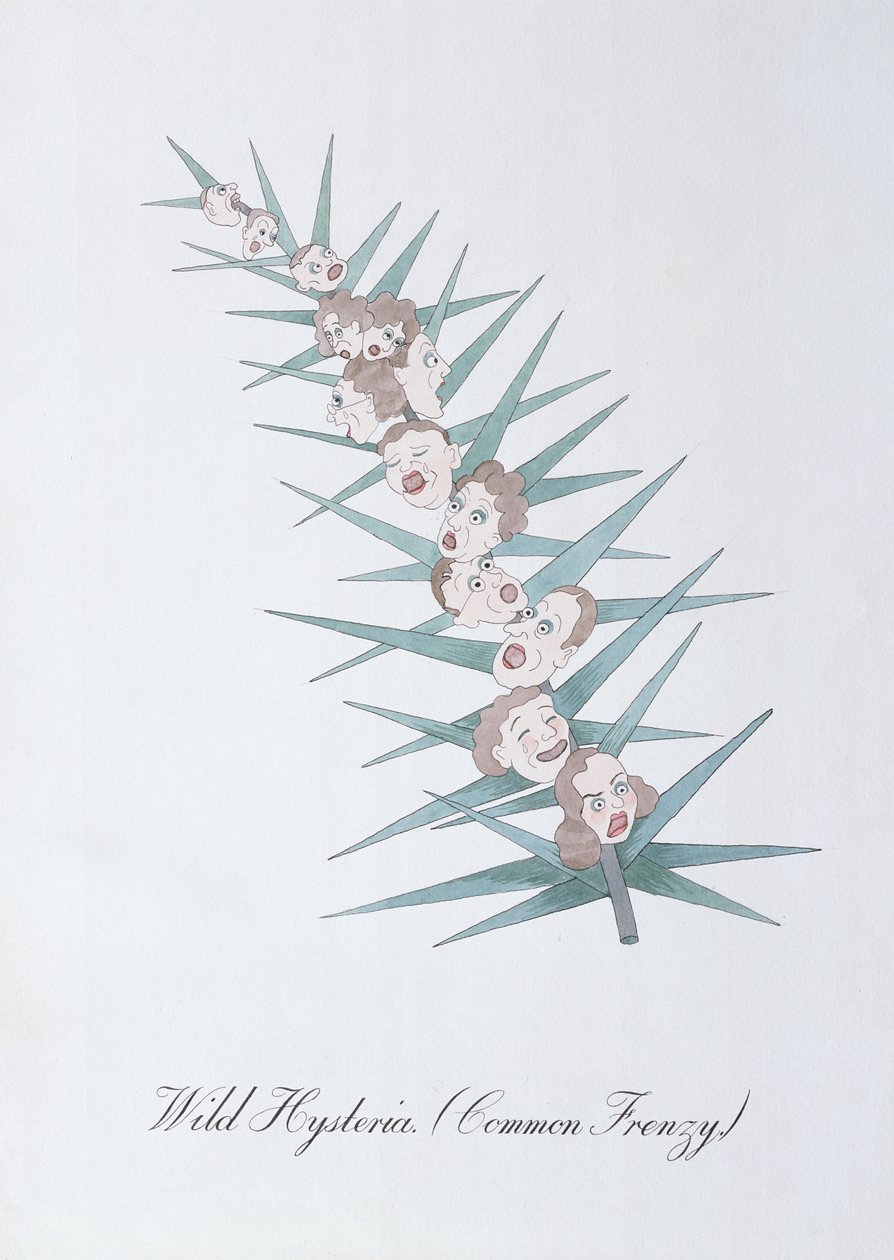 野性的歇斯底里（常见的狂热），插图选自约翰-威尔的《植物学怪谈》。 作者 约翰·威尔