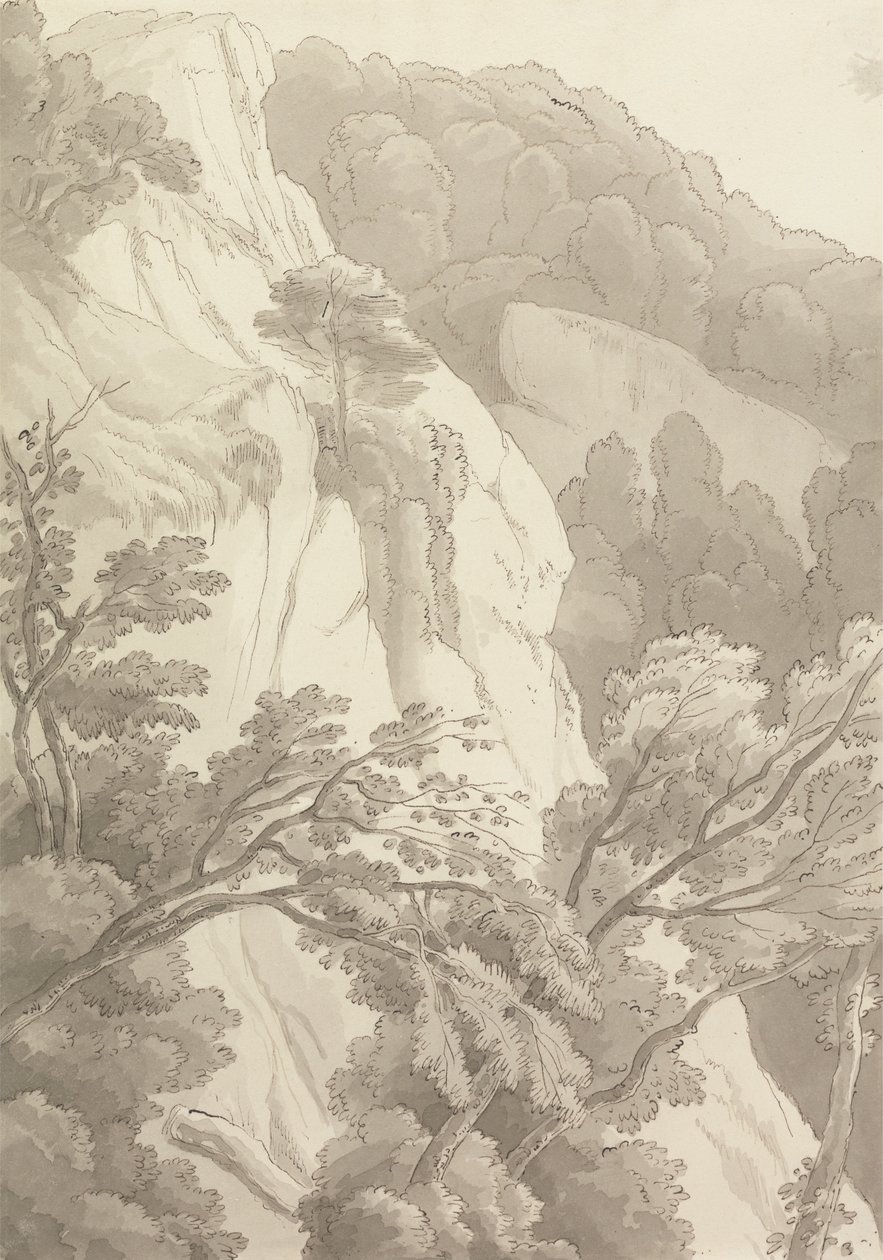 坎农泰恩 作者 约翰·怀特·雅培