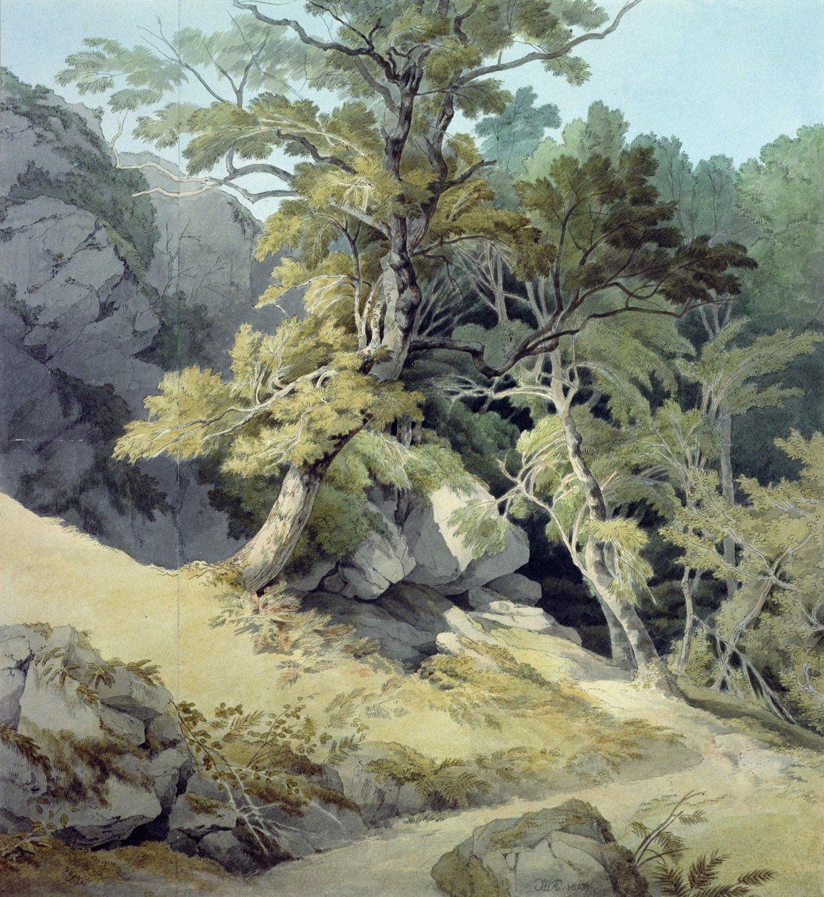Canonteign，Devon 作者 约翰·怀特·雅培