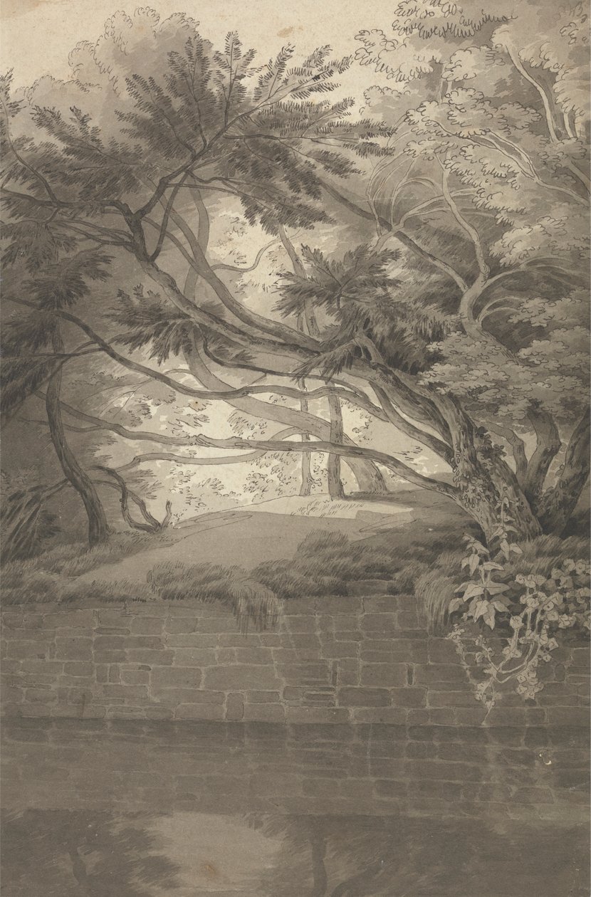 Trees Overhanging a Lake 作者 约翰·怀特·雅培