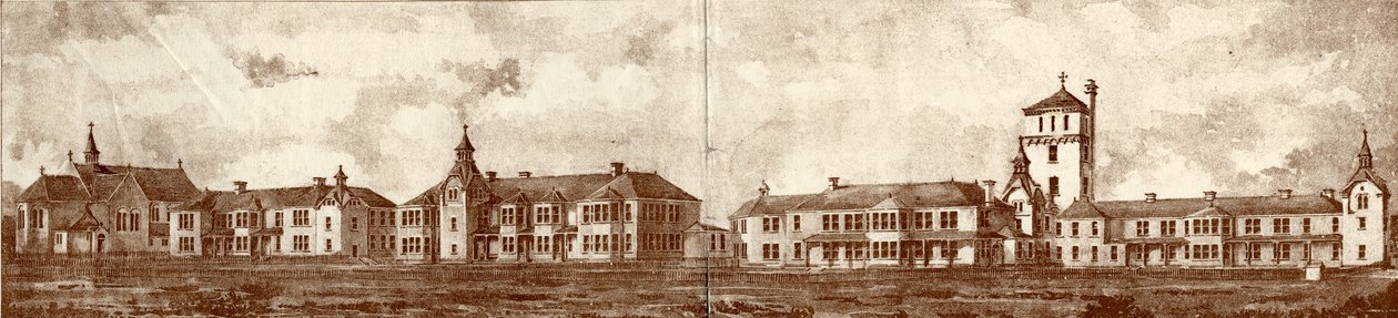 The Newcastle on Tyne Lunatic Asylum，Coxlodge，c.1829（photolitho） 作者 约翰·威廉·戴森