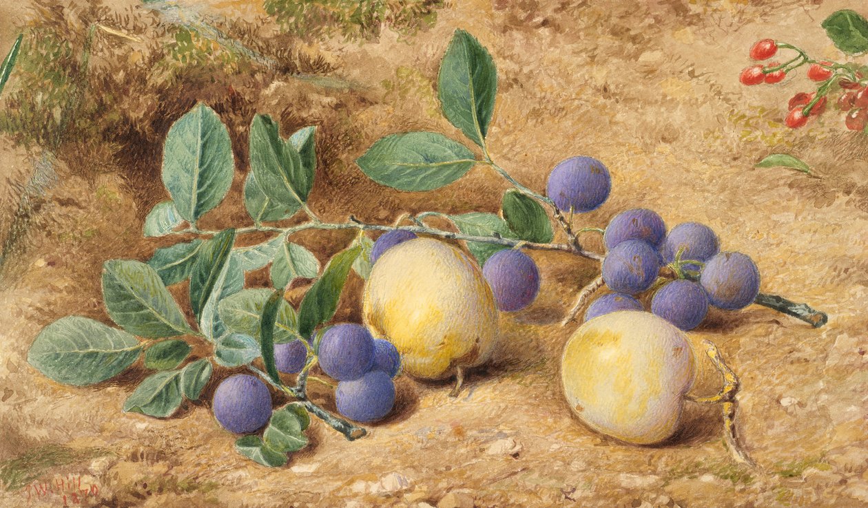 1870年的李子。 作者 约翰·威廉·希尔