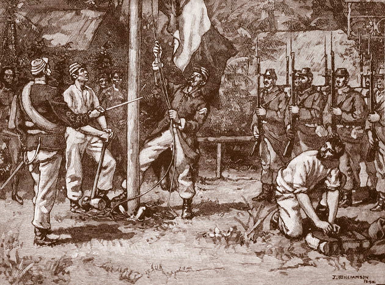 1886年在新赫布里底群岛悬挂法国国旗，插图来自“卡塞尔的英国插图史”（棕褐色照片） 作者 约翰·威廉姆森