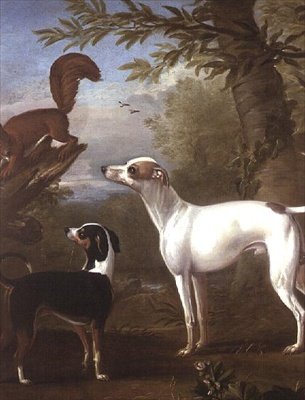 两只运动犬被树桩上的松鼠所吸引 作者 约翰·伍顿