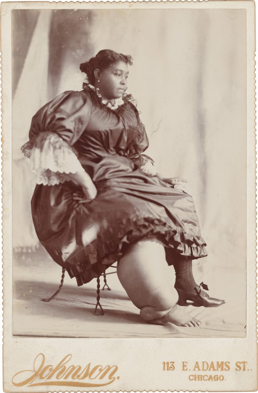 妇女肖像，约 1890 年（照片1890 年（照片） 作者 约翰逊
