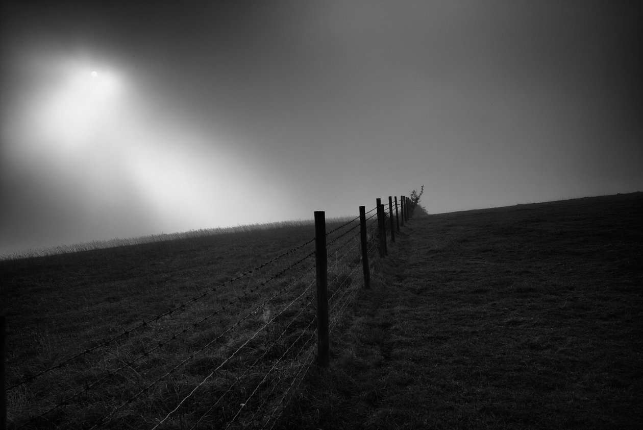 2019 年，英国西萨塞克斯郡古德伍德庄园（图片） 作者 乔恩·尼科尔森