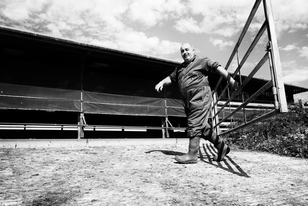 2019 年，英国西萨塞克斯郡古德伍德庄园（图片） 作者 乔恩·尼科尔森