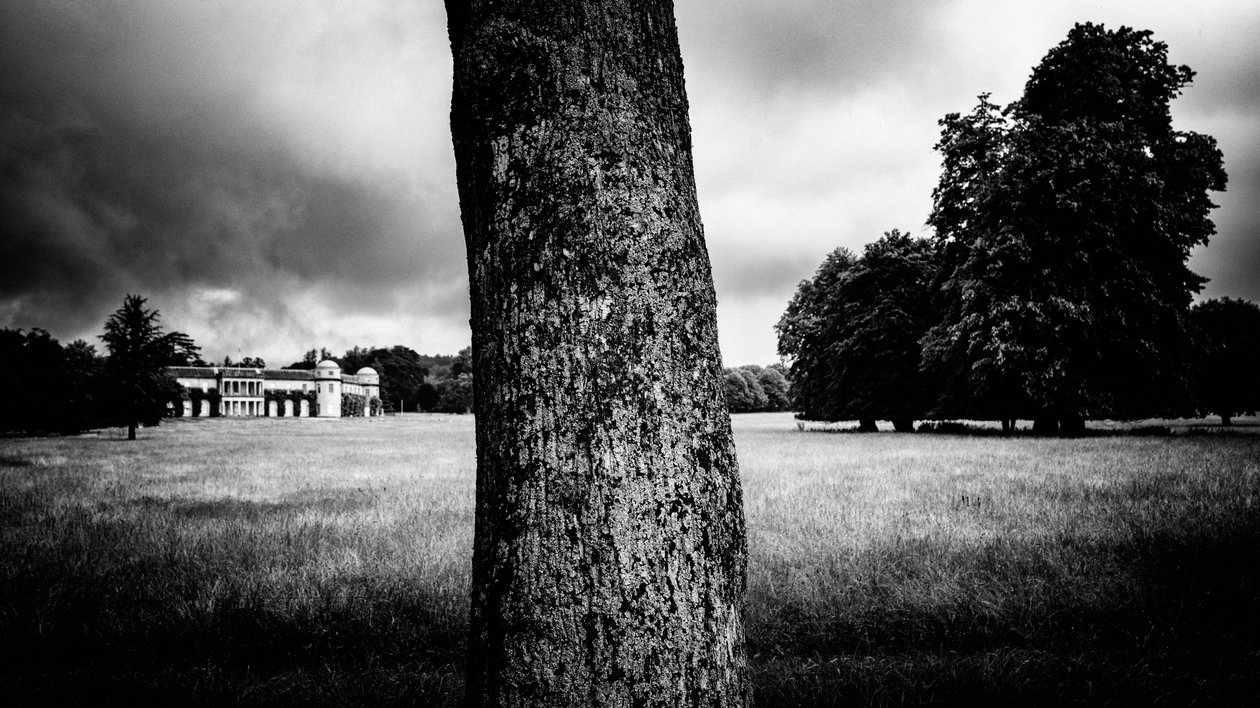 2020 年，英国西萨塞克斯郡古德伍德庄园（照片） 作者 乔恩·尼科尔森