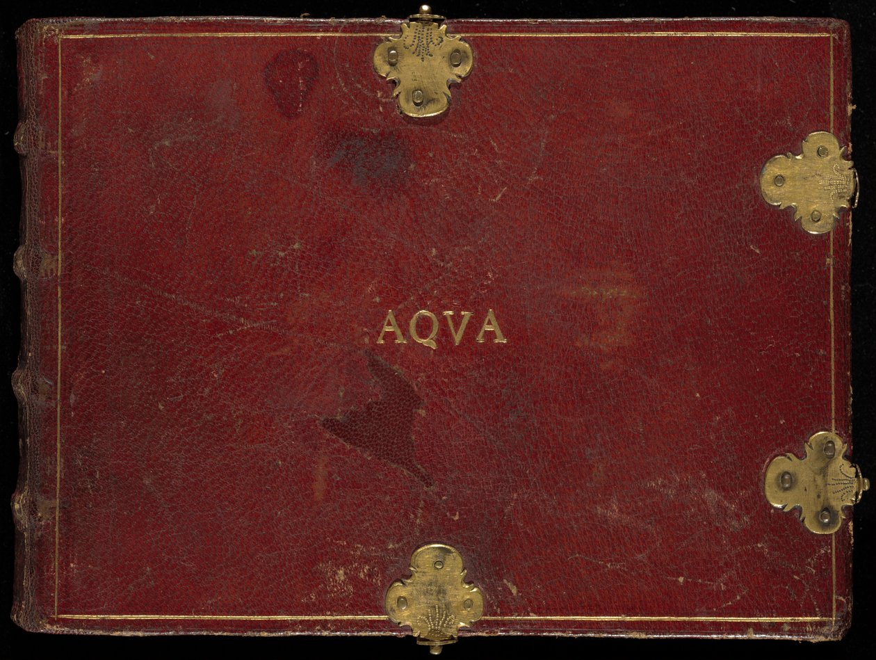 动物 Aqvatilia et Cochiliata》（Aqva），第 III 卷 作者 乔里斯·霍夫纳格尔