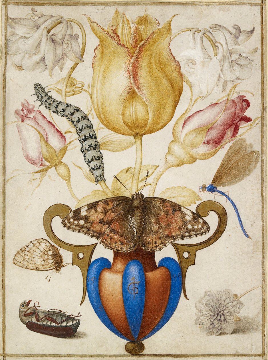 花瓶中的插花与昆虫的安排，1594年 作者 乔里斯·霍夫纳格尔