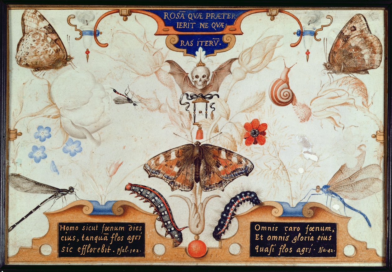 带花和昆虫的Diptych，1591（面板上的marouflage和羊皮纸） 作者 乔里斯·霍夫纳格尔