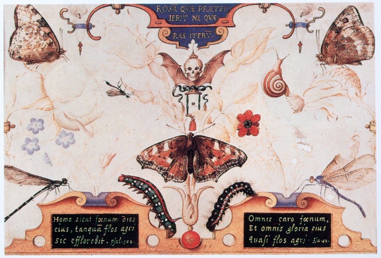 带花朵和昆虫的双联画，1591年。 作者 乔里斯·霍夫纳格尔