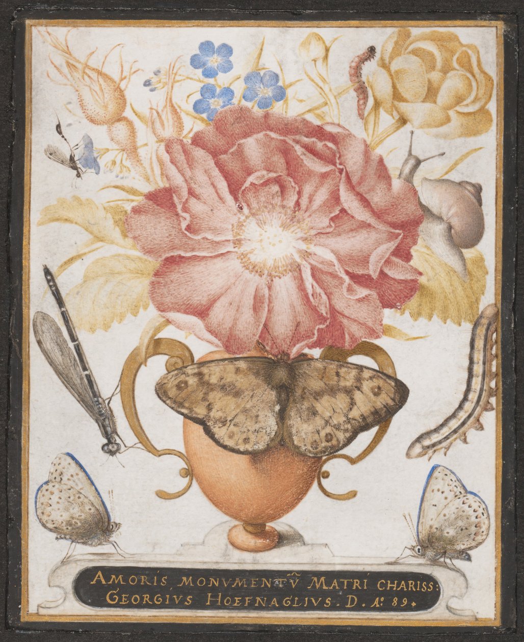 有花、蜗牛和昆虫的静物，1589年。 作者 乔里斯·霍夫纳格尔