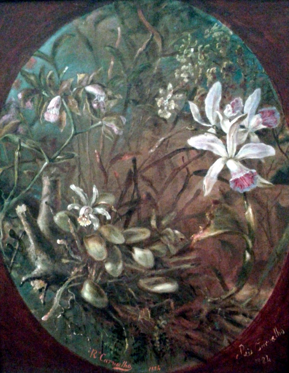 寄生虫 作者 何塞·多斯·雷斯·卡瓦略