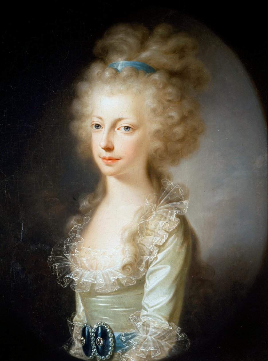 奥地利大公夫人玛丽亚-克莱门蒂纳的肖像，1777-1801年，1796年。 作者 约瑟夫·希克尔