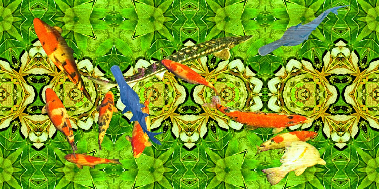 Creatures: Koi carp fish under water garden 3   1448143   zh       chinese Successfully Translated  Original: Before us stood an immense gorilla (colour litho) Translat: Before us stood an immense gorilla (colour litho) 1398978 zh chinese Successfully Tran 作者 约瑟夫·约翰·迈克尔
