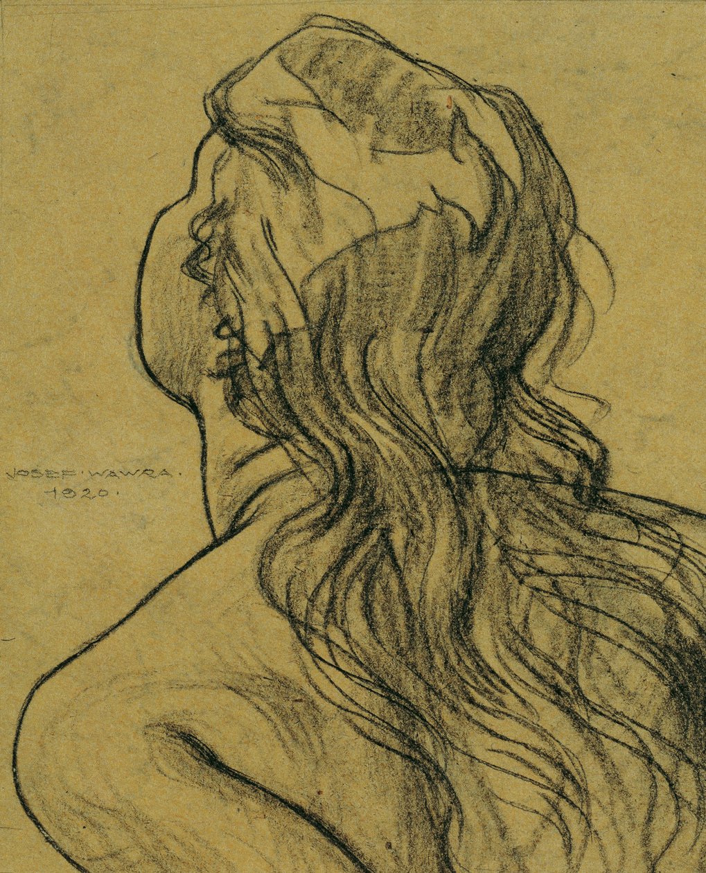 女孩的头 作者 约瑟夫·瓦拉