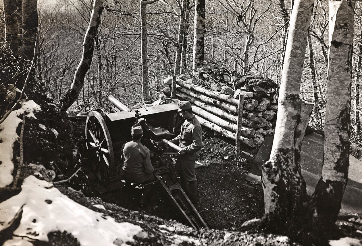 专辑“Meine weltkriegs - Erinnerungen South-West Front (Carinthia, Italien, South Tyrol) (My world war - memory of the South-Western Front in Carinthia, Italy, Trentino-Alto Adige) 31/03/1915-12/11/ 1918 年 - Josef Zohles Wien “：士兵与大炮 (b/wp 作者 约瑟夫·佐尔斯（Josef Zohles）