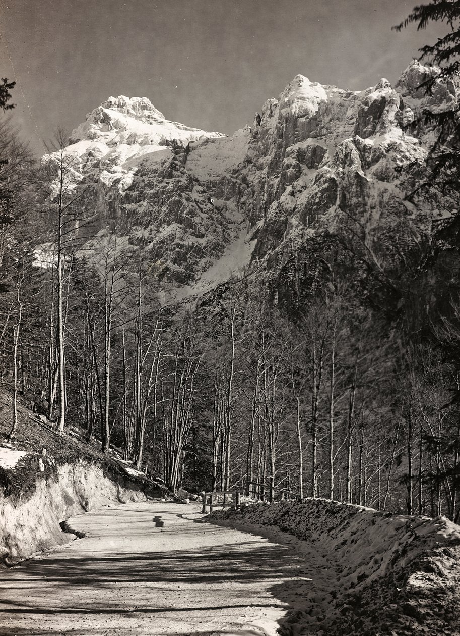专辑“Meine weltkriegs - Erinnerungen South-West Front (Carinthia, Italien, South Tyrol) (My world war - memory of the South-Western Front in Carinthia, Italy, Trentino-Alto Adige) 31/03/1915-12/11/ 1918 - Josef Zohles Wien“：山路（黑白照片） 作者 约瑟夫·佐尔斯（Josef Zohles）