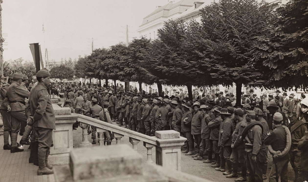 专辑“Meine weltkriegs - Erinnerungen South-West Front (Carinthia, Italien, South Tyrol) (My world war - memory of the South-Western Front in Carinthia, Italy, Trentino-Alto Adige) 31/03/1915-12/11/ 1918 年 - Josef Zohles Wien “：有许多囚犯的士兵 作者 约瑟夫·佐尔斯（Josef Zohles）