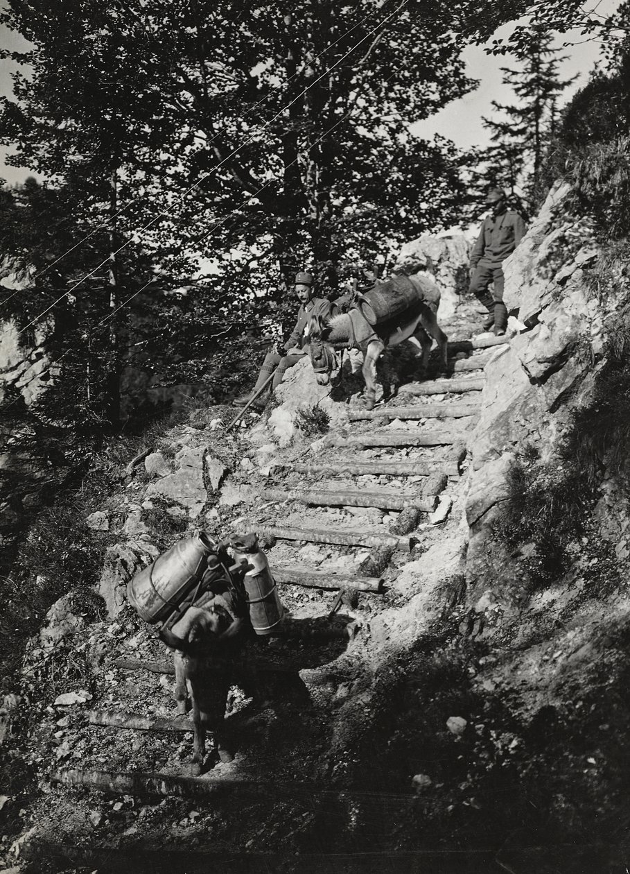专辑“Meine weltkriegs - Erinnerungen South-West Front (Carinthia, Italien, South Tyrol) (My world war - memory of the South-Western Front in Carinthia, Italy, Trentino-Alto Adige) 31/03/1915-12/11/ 1918 - Josef Zohles Wien “：沿着陡峭的德军骡子 作者 约瑟夫·佐尔斯（Josef Zohles）