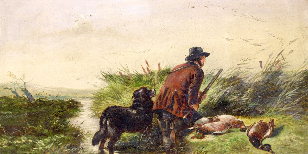 理查德·安德尔（Richard Ansdell）绘画后的鸭子飞行（1815-85） 作者 约瑟夫·本斯特德