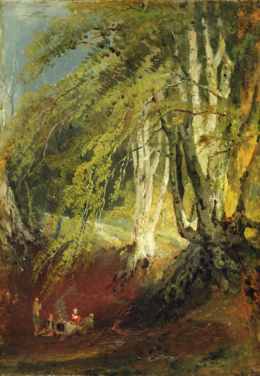 一种山毛榉木与吉普赛人坐在篝火周围，c.1799-1801（面板上的油纸） 作者 约瑟夫·马洛德·威廉·特纳