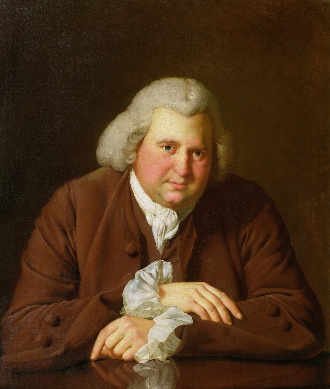 Erasmus Darwin博士（1731-1802）的肖像科学家，发明家和诗人，查尔斯达尔文的祖父，1770年 作者 德比的约瑟夫·赖特