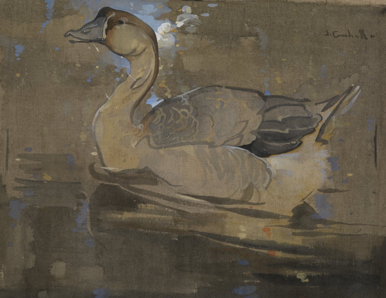 The Chinese Goose (gouache on linen) 作者 约瑟夫·克劳霍尔