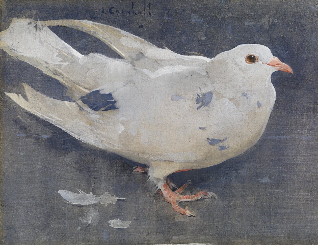 鸽子》（亚麻布水粉画） 作者 约瑟夫·克劳霍尔
