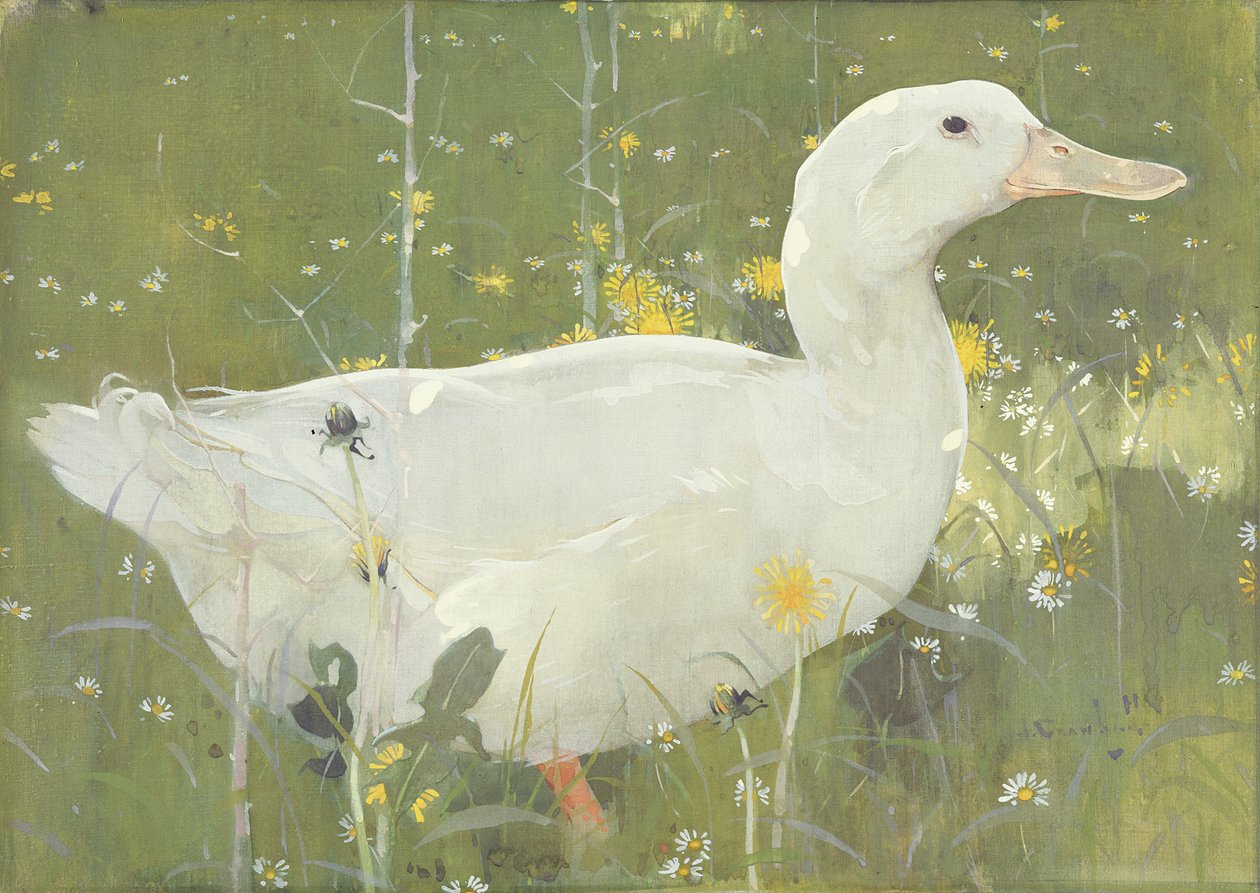The White Drake (gouache on canvas) 作者 约瑟夫·克劳霍尔