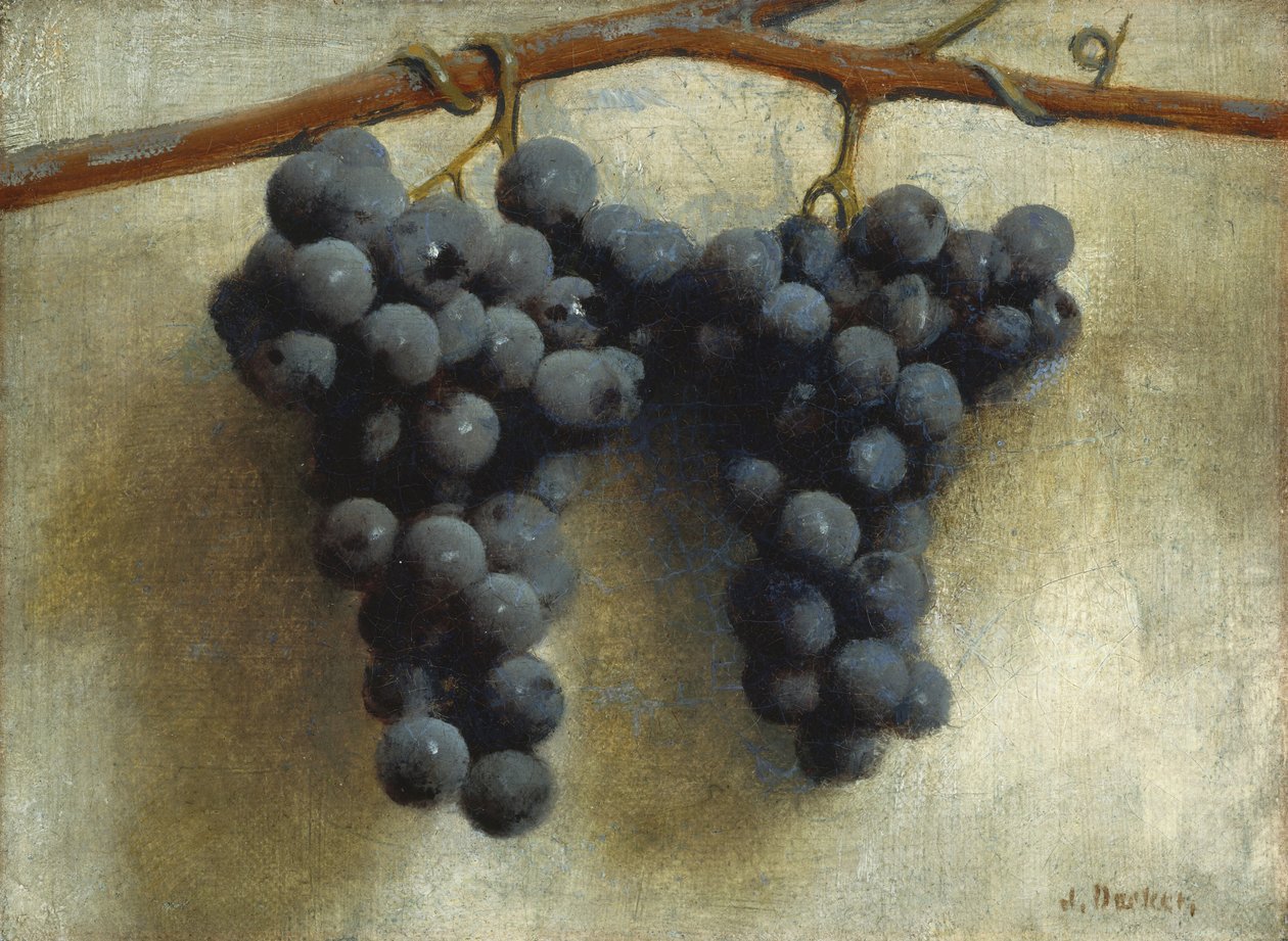 葡萄，约 1890-1895（布面油画） 作者 约瑟夫·德克尔