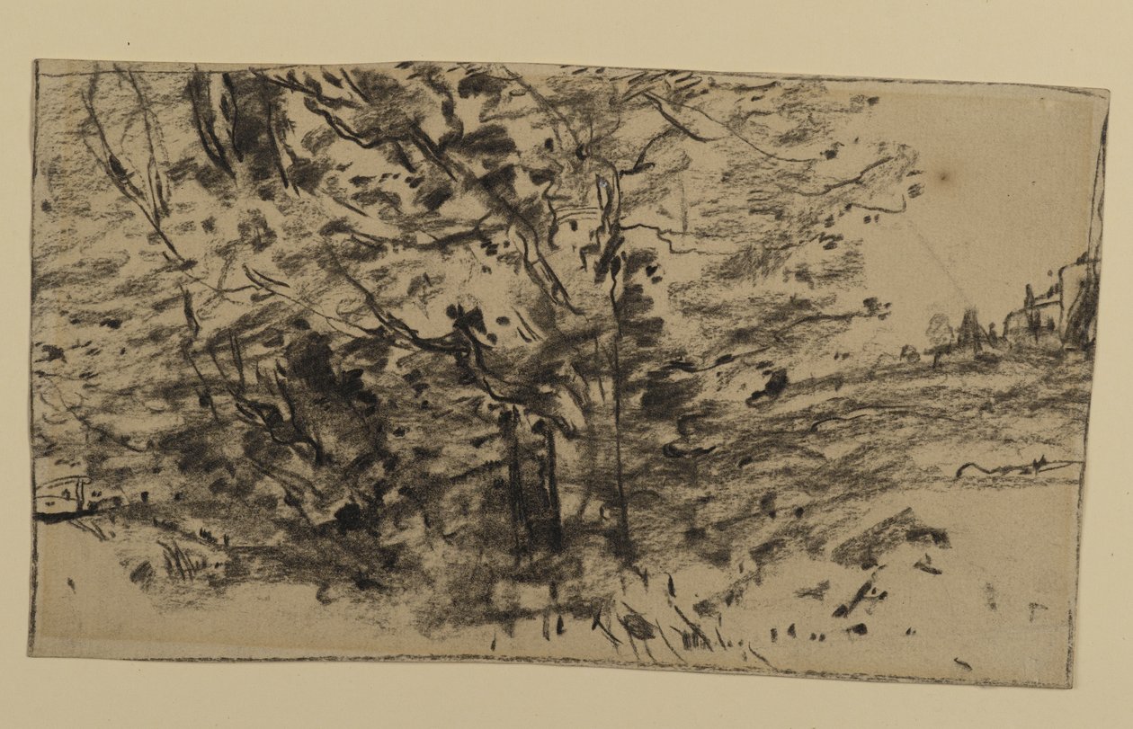 树木的研究，1870年（石墨在纸上） 作者 约瑟夫·弗兰克·库里尔