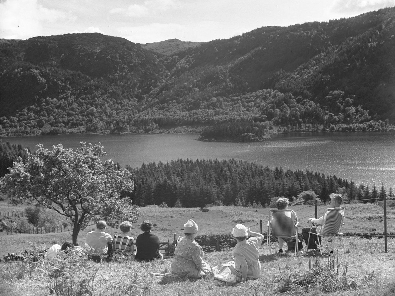 一群人坐在草地或躺椅上，眺望 Thirlmere 美景 作者 约瑟夫·哈德曼