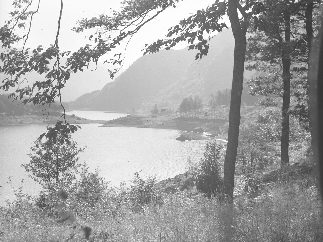 穿过树枝的 Thirlmere 作者 约瑟夫·哈德曼