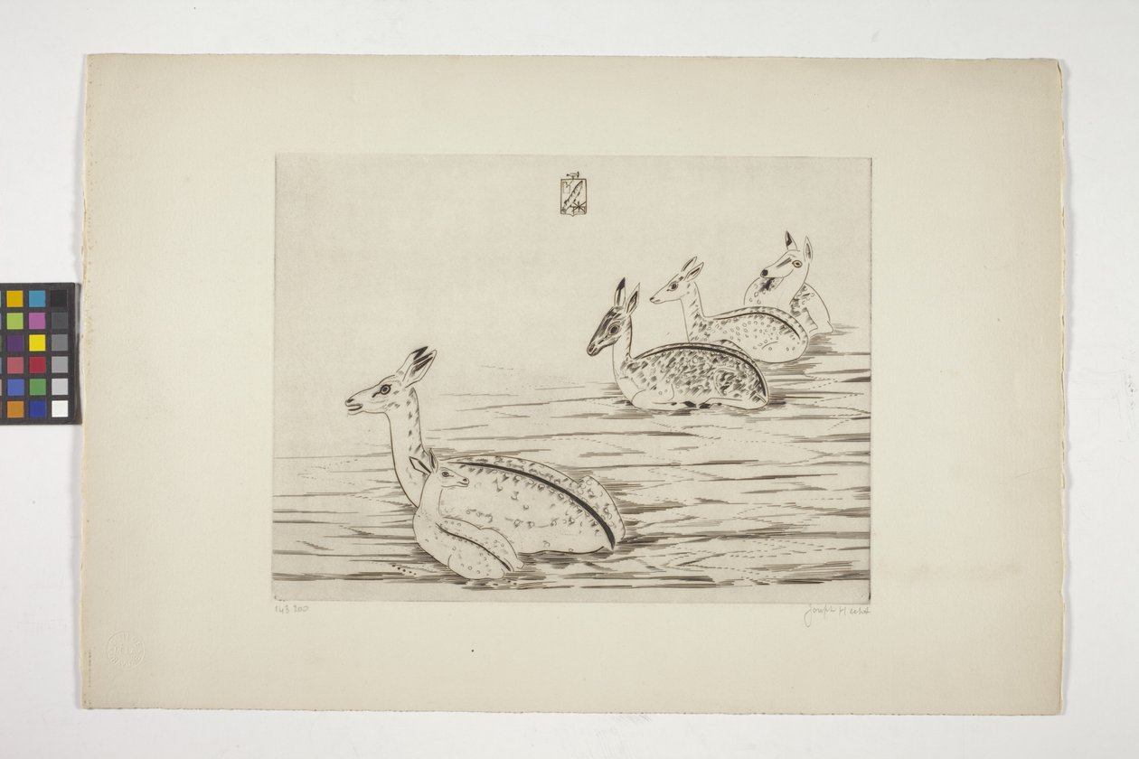 Cerfs Indochinois I（印度支那鹿 I）（奶油色织纹纸上的版画） 作者 约瑟夫赫克特