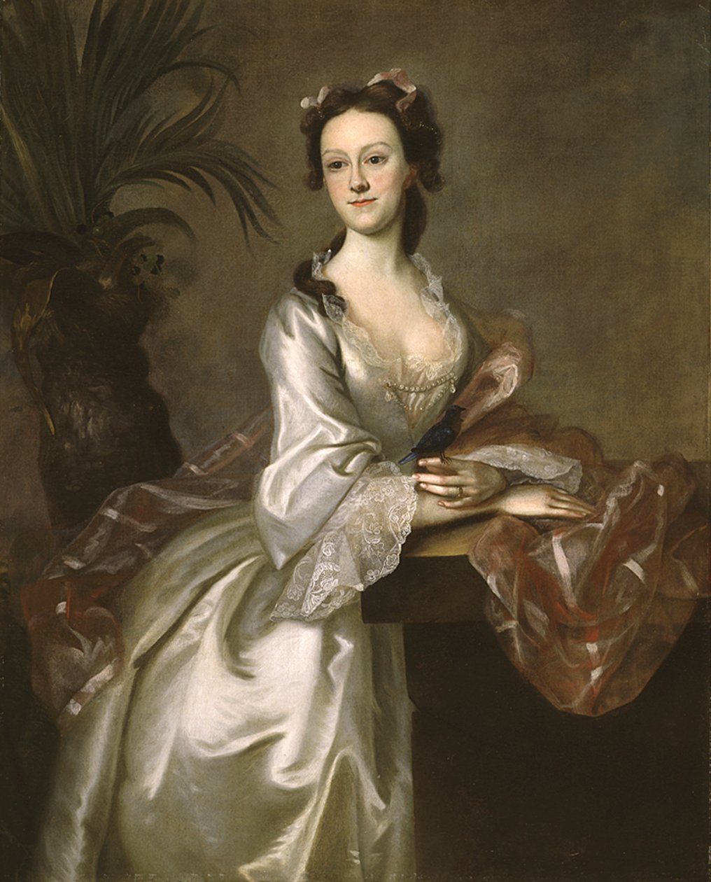 约翰·皮戈特夫人的肖像，c.1752 作者 约瑟夫·乔纳森·布莱克本