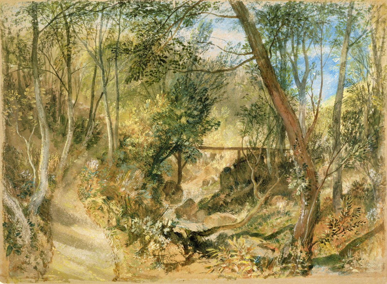PD.50-1958 Woodwalk，Farnley Hall，1818（wc und gouache） 作者 约瑟夫·马洛德·威廉·特纳